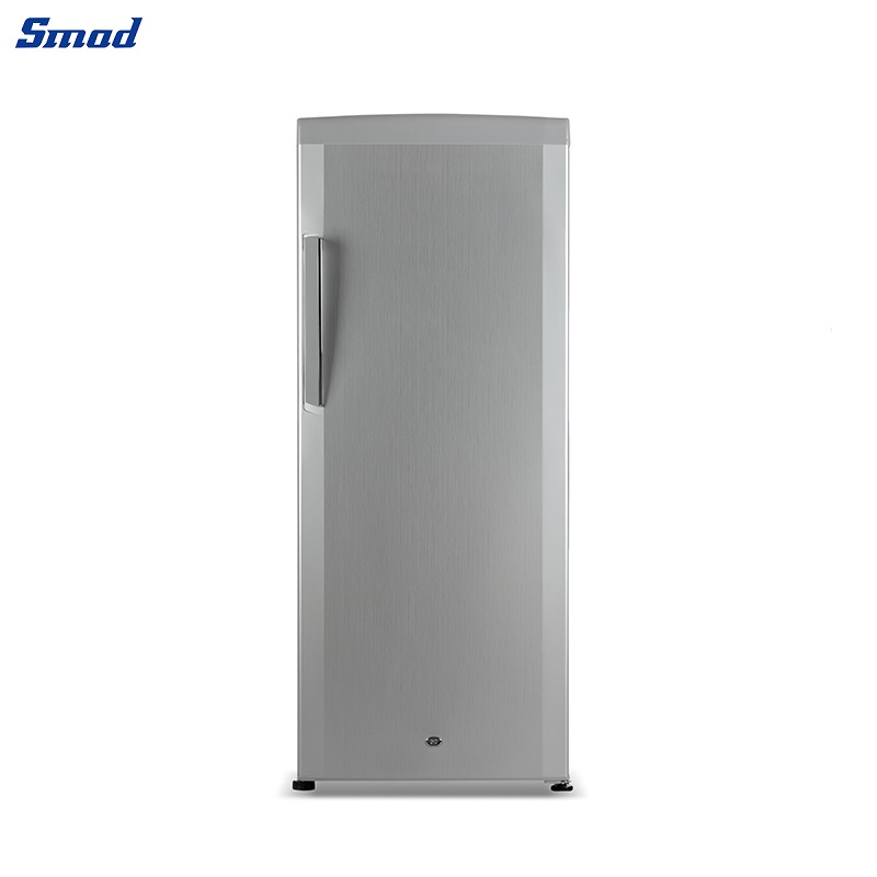 
Smad 9.9 Cu. Ft. Stand Up Freezer with LED Lighting