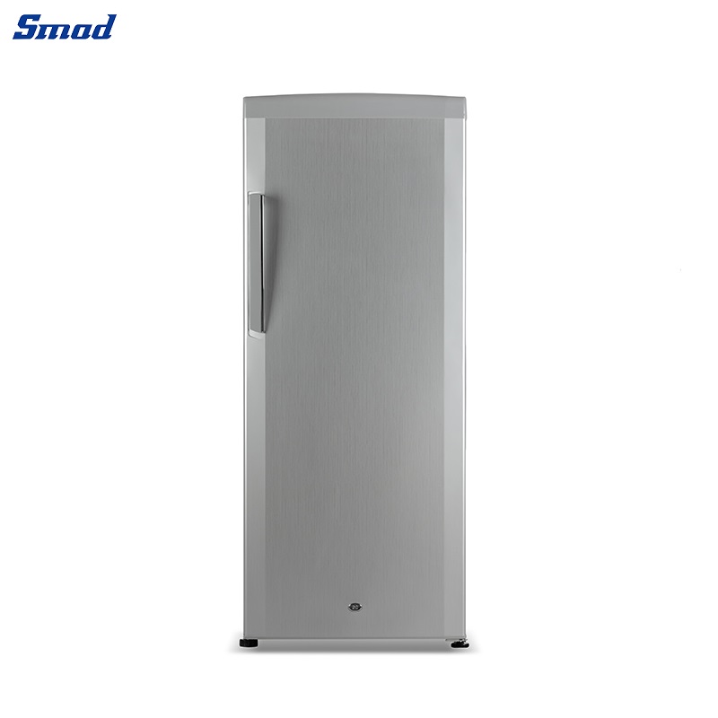 
Smad 9.9 Cu. Ft. Stand Up Freezer with LED Lighting