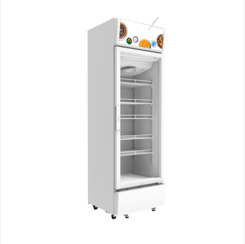 
Smad 460L Single Door Energy-Efficient Commercial Fridge with Adustable sheives