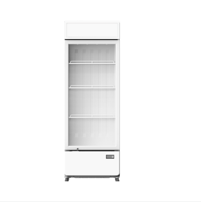 Smad 261L Frost Free Upright Freezer with Super freeze function
